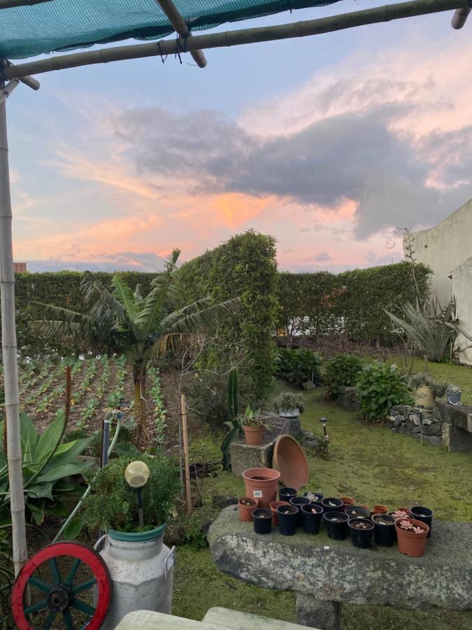 Casas Da Quinta Villa Ribeira Grande Eksteriør billede