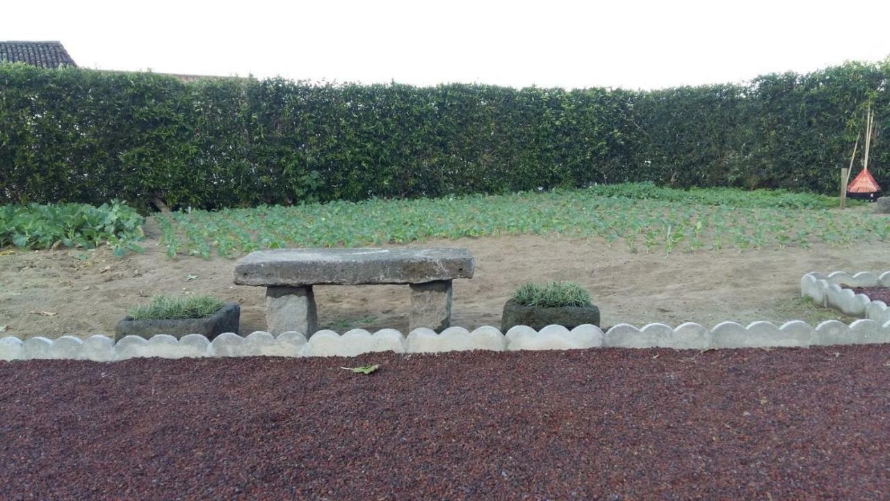 Casas Da Quinta Villa Ribeira Grande Eksteriør billede