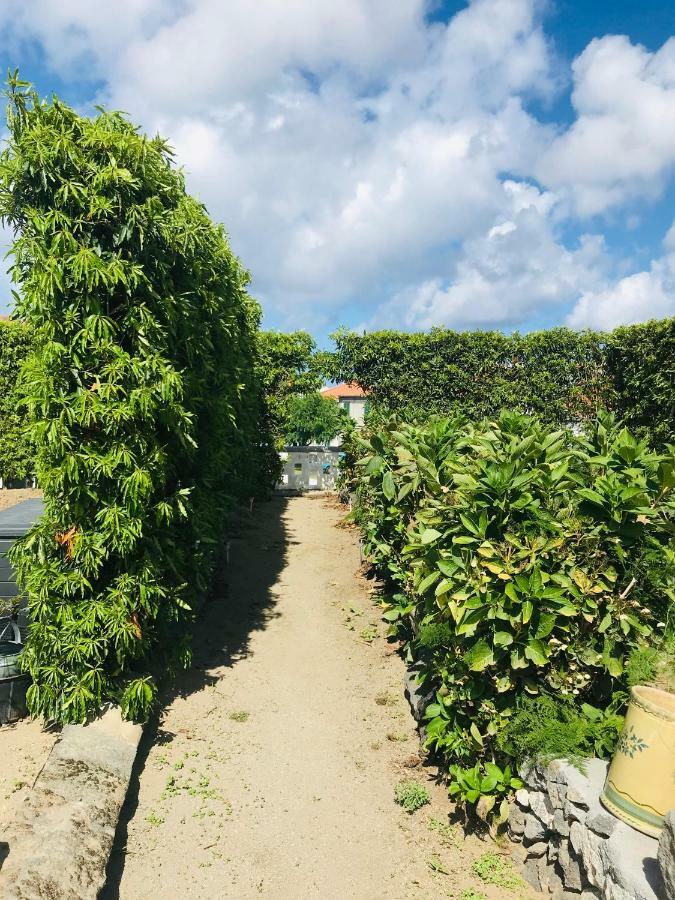 Casas Da Quinta Villa Ribeira Grande Eksteriør billede